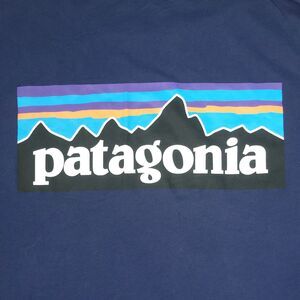 Patagonia Slim Fit Tshirt Mens Medium Blue Crew Neck Organic Cotton Outdoors